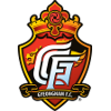 庆南FC 庆南FC